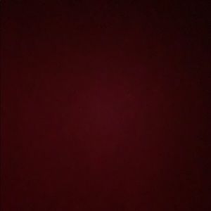 Meet your Posher, Sonny